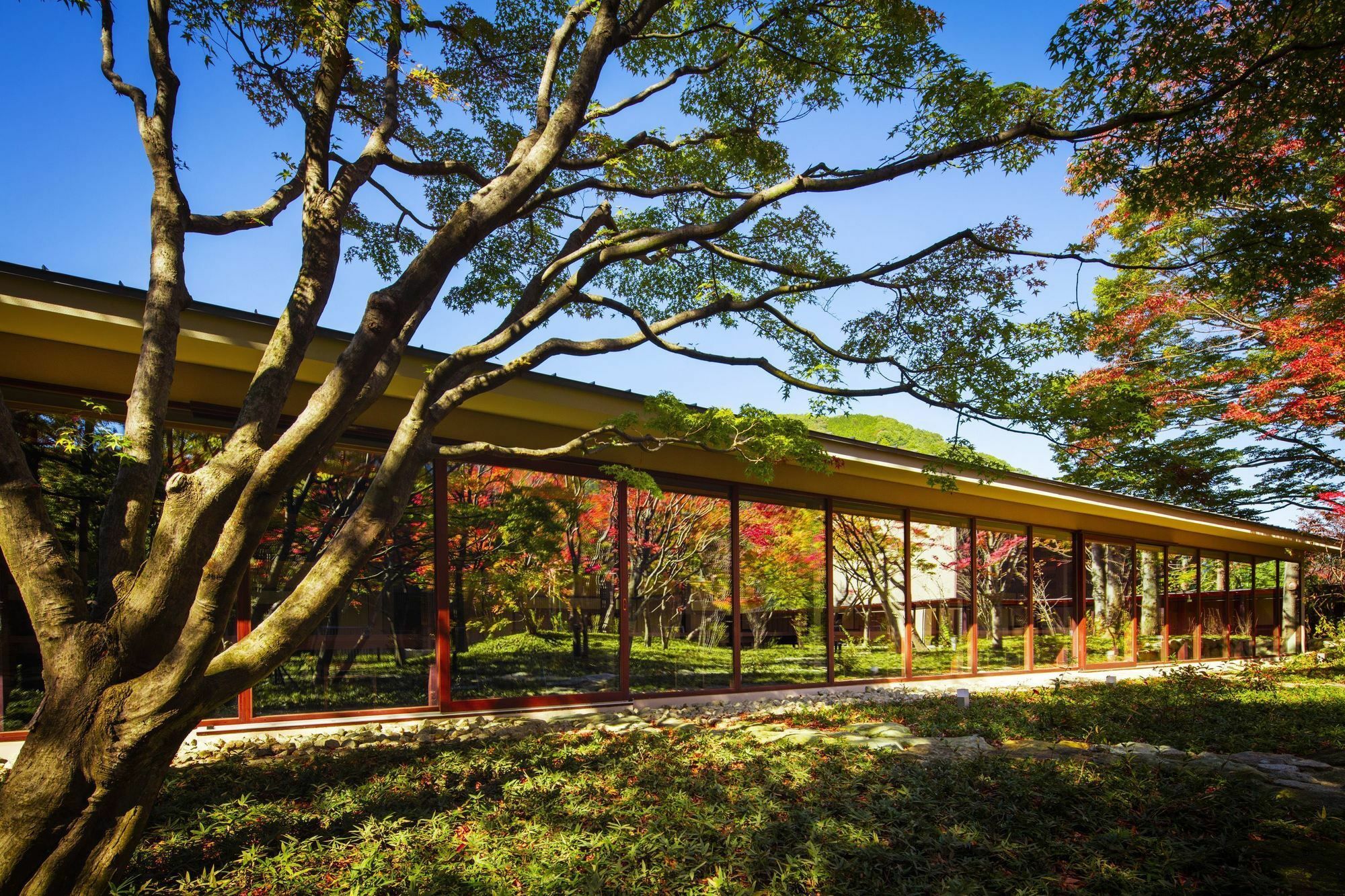Hoshino Resorts Kai Kinugawa นิกโก ภายนอก รูปภาพ