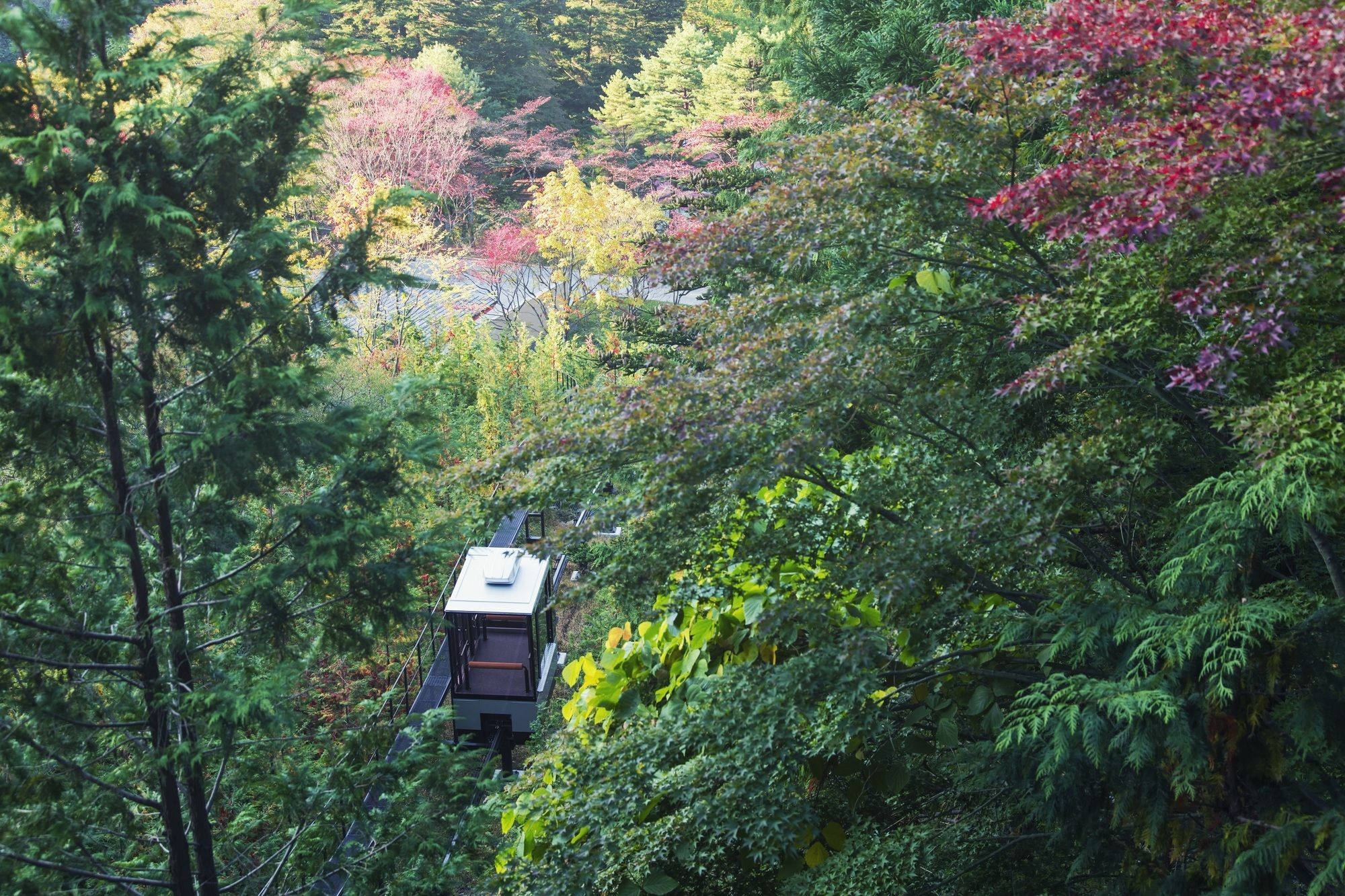 Hoshino Resorts Kai Kinugawa นิกโก ภายนอก รูปภาพ